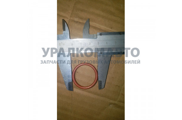 Кольцо уплотнительное толкателя  WP12 X3000