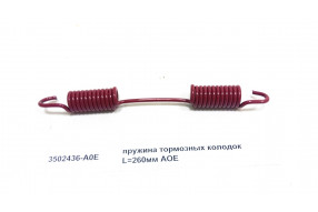 Пружина тормозных колодок L=260 задняя J6